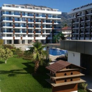 WhatsApp-Image-2024-10-09-at-09.53.40-650x366