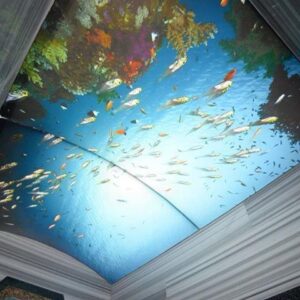 WhatsApp-Image-2024-10-09-at-09.54.18-2